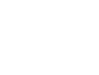 Nadelform